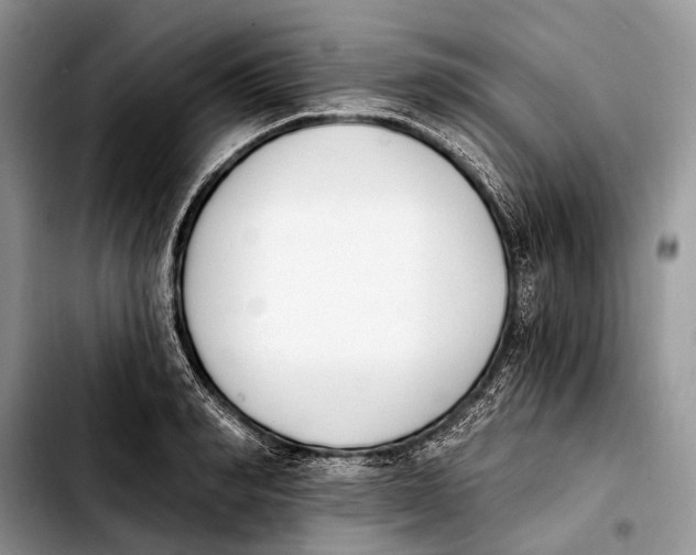 X0000103910990200810101304