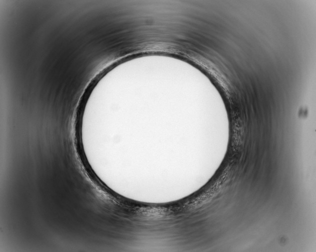 X0000103910991200810101304