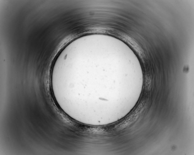 X0000103910994200810101304