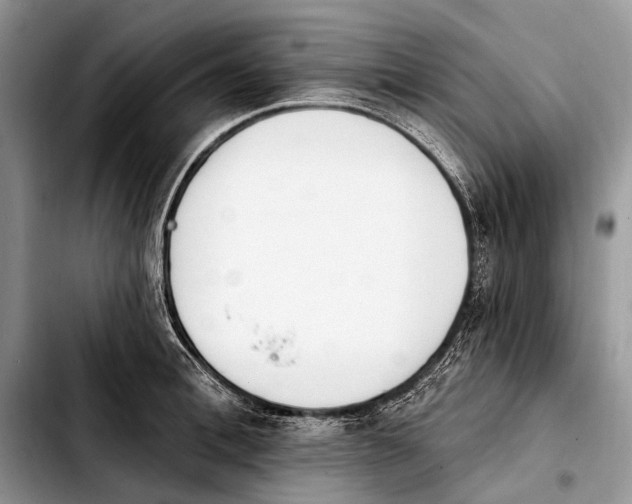 X0000103910996200810101304