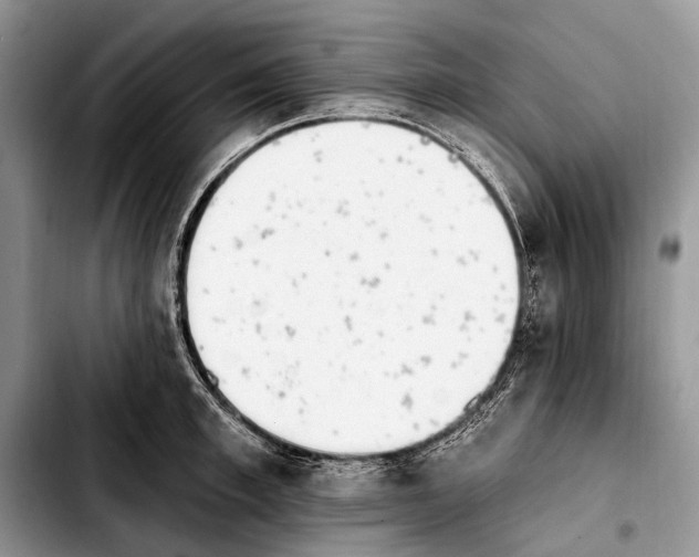 X0000103910997200810101304