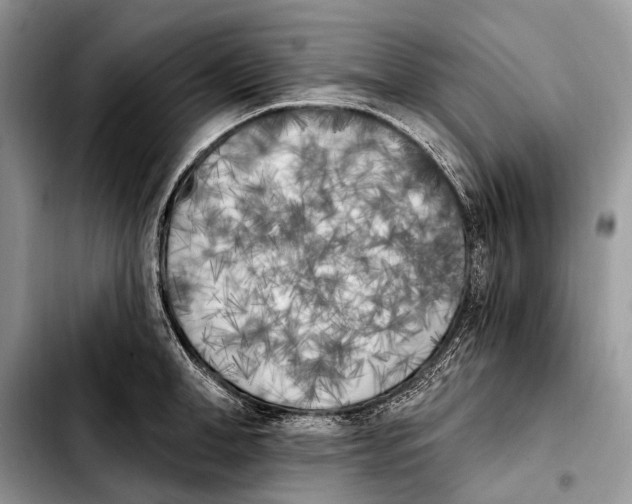 X0000103910998200810101304