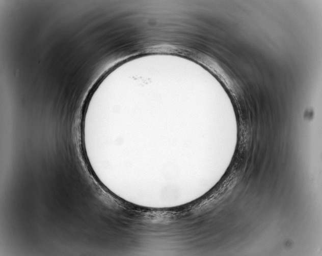 X0000103911000200810101304