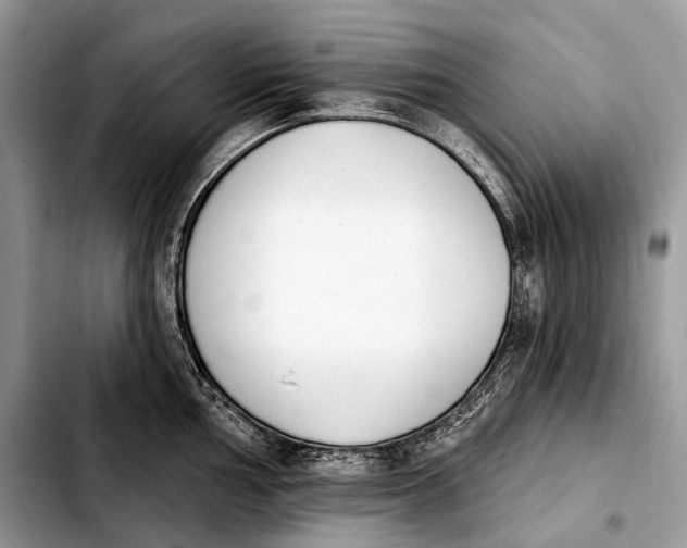 X0000103911002200810101304