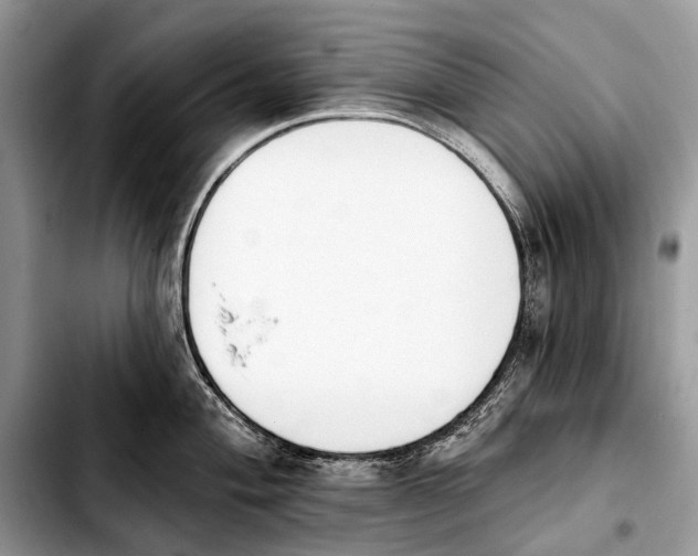 X0000103911004200810101304