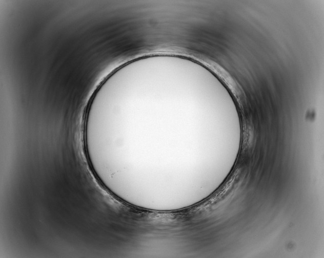 X0000103911006200810101304