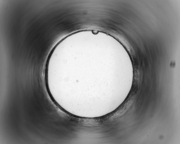 X0000103911007200810101303