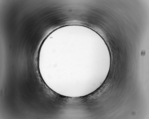 X0000103911008200810101303
