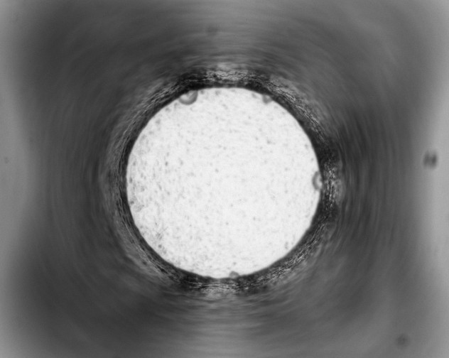 X0000103911009200810101303