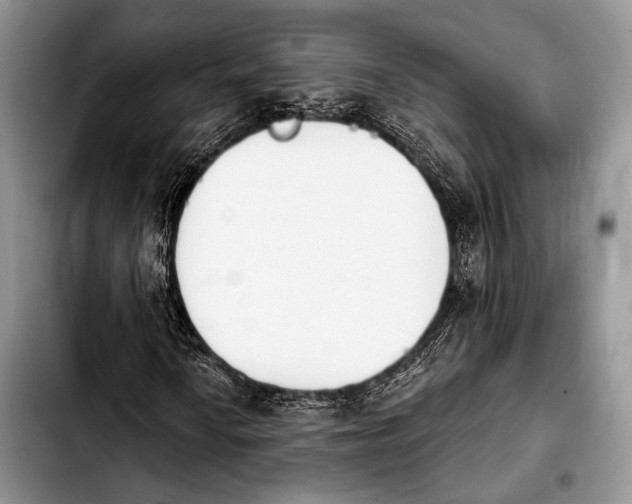 X0000103911010200810101303