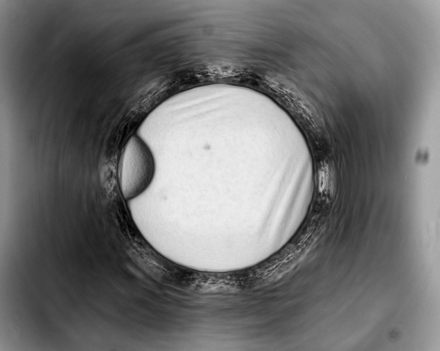 X0000103911011200810101303