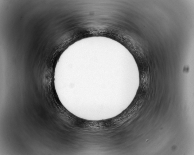 X0000103911012200810101303