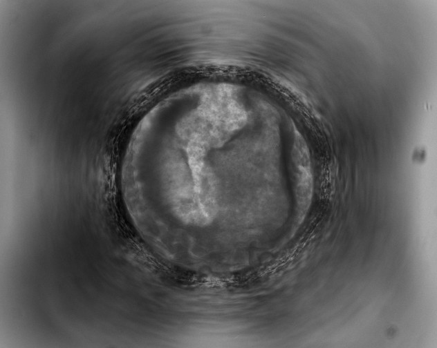 X0000103911013200810101303