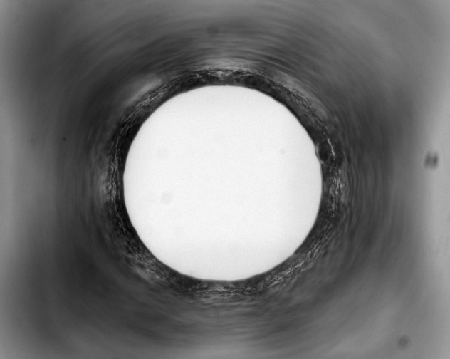 X0000103911014200810101303