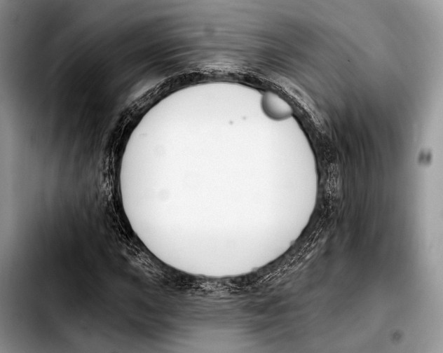 X0000103911015200810101303