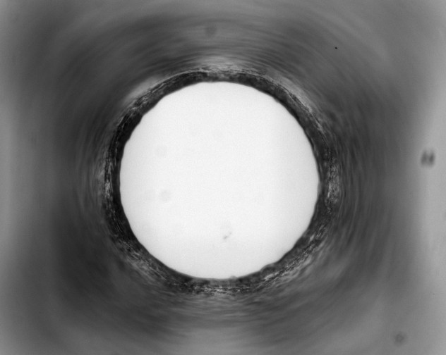 X0000103911016200810101303