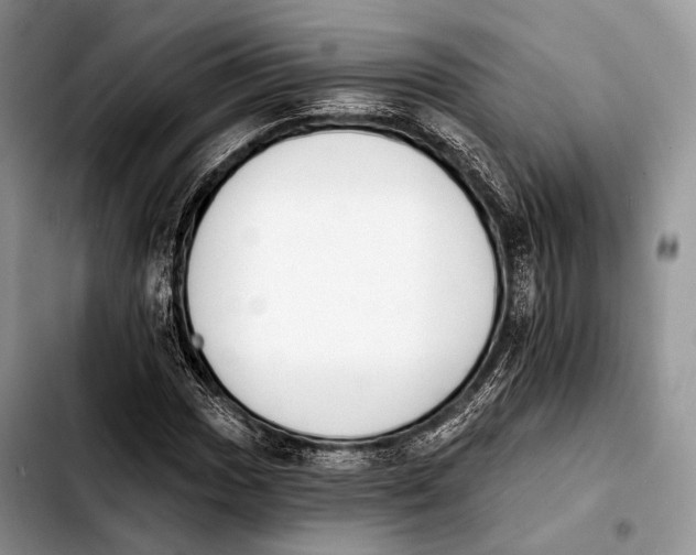 X0000103911017200810101303