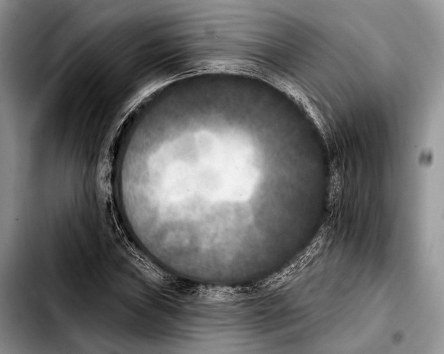 X0000103911019200810101303