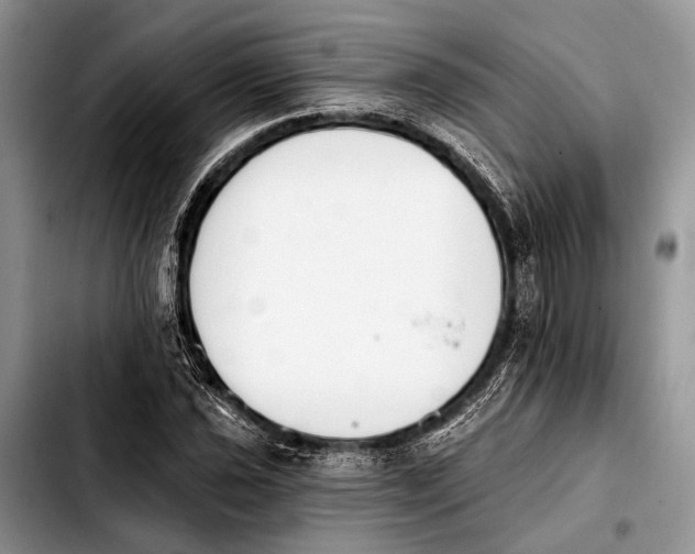 X0000103911021200810101303