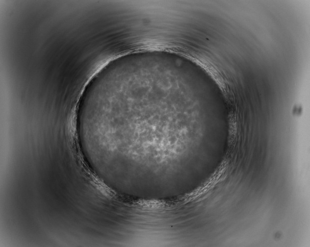 X0000103911023200810101303