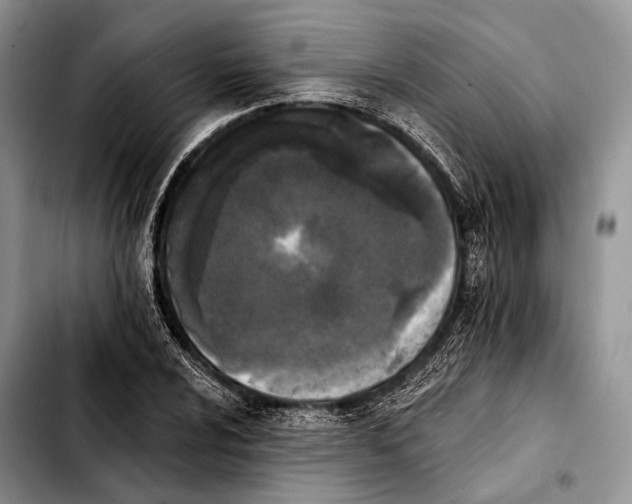 X0000103911024200810101303
