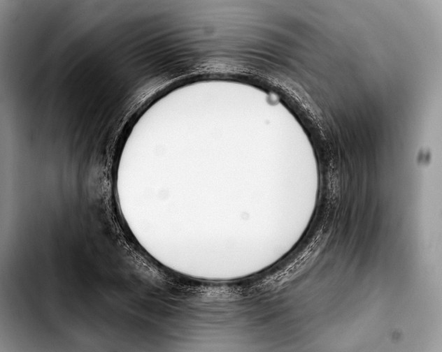 X0000103911025200810101303