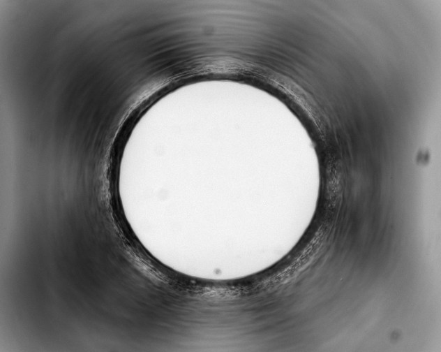 X0000103911026200810101303