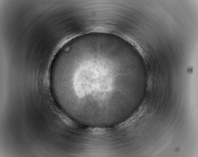 X0000103911027200810101303