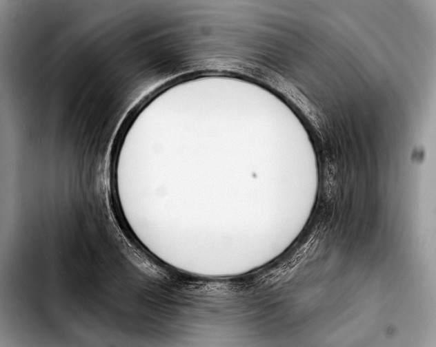 X0000103911028200810101303