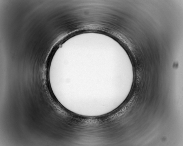 X0000103911029200810101303