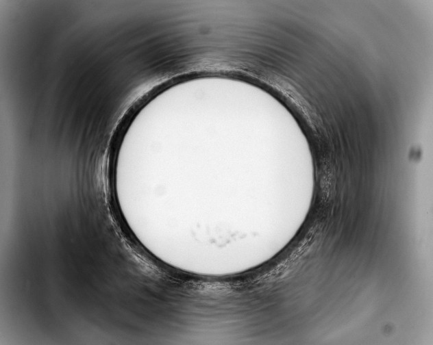 X0000103911030200810101303