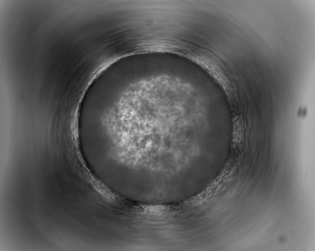 X0000103911031200810101303