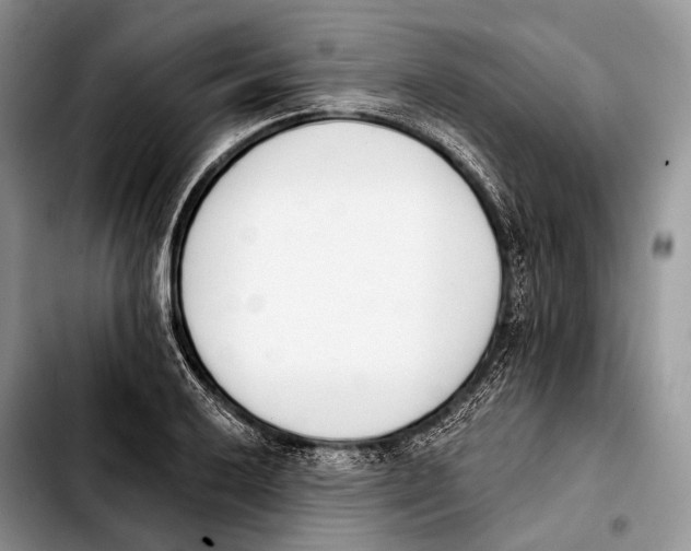 X0000103911032200810101303
