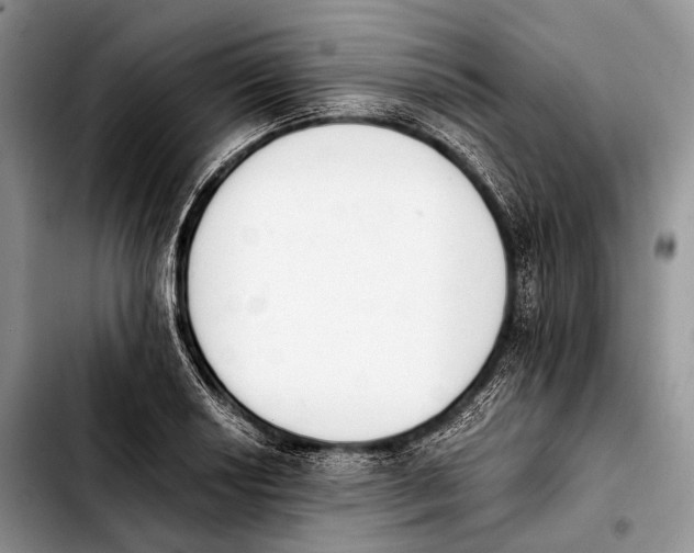 X0000103911034200810101303
