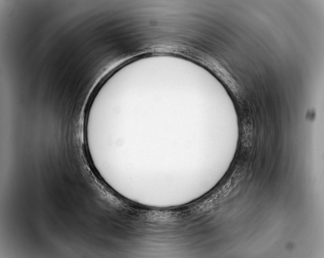 X0000103911036200810101303