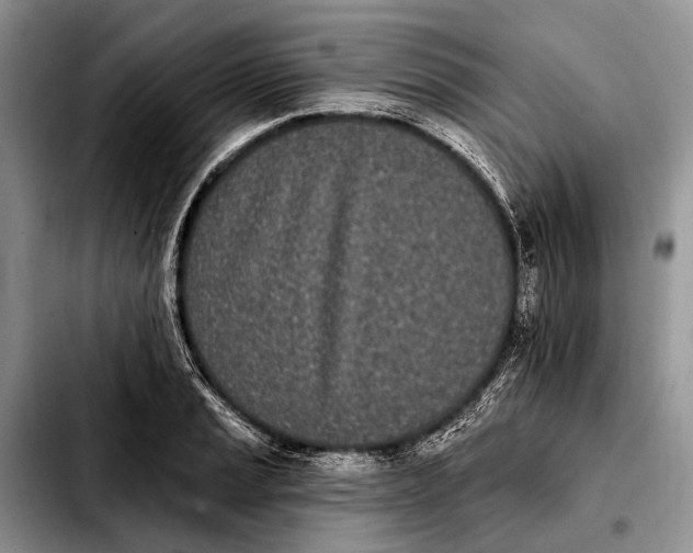 X0000103911037200810101303