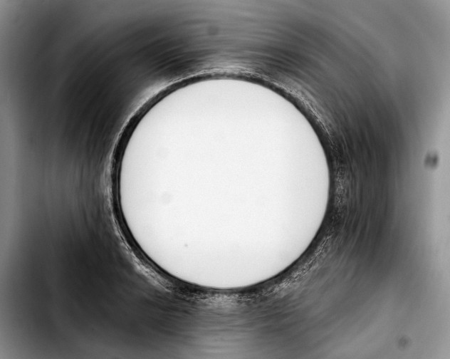 X0000103911038200810101303