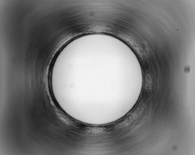 X0000103911039200810101303