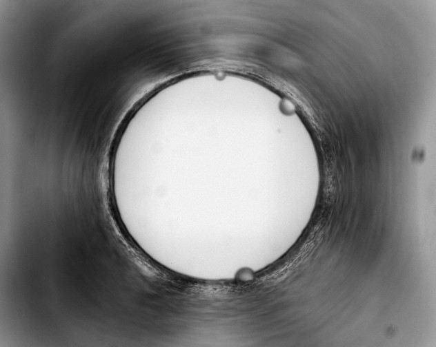 X0000103911040200810101303