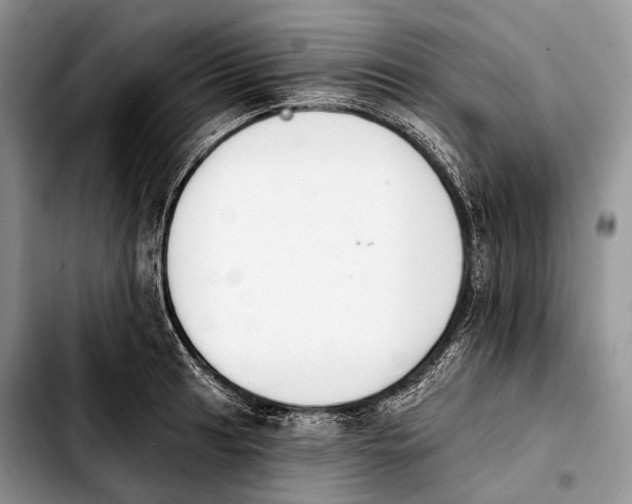 X0000103911041200810101303