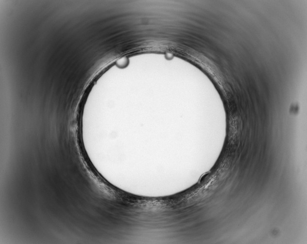 X0000103911042200810101303