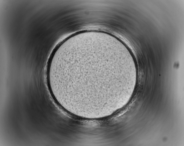 X0000103911045200810101303