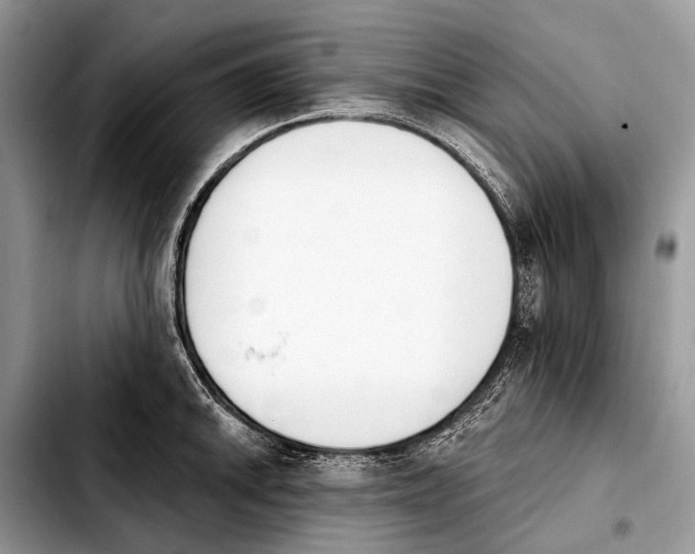 X0000103911046200810101303