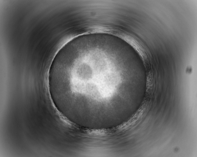 X0000103911047200810101303