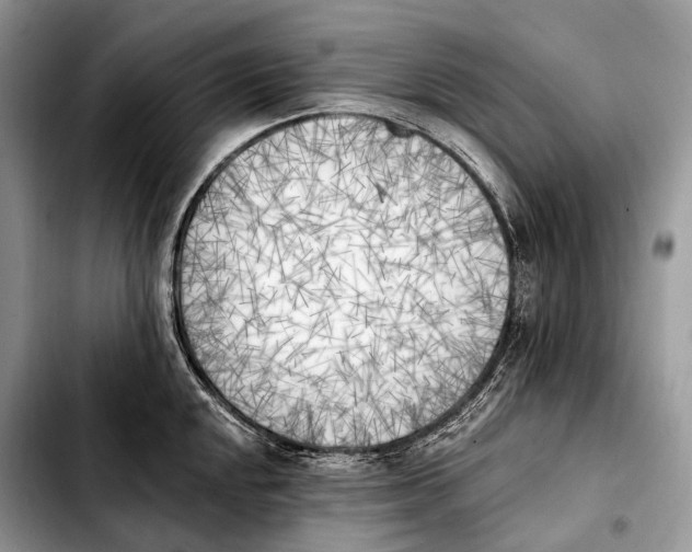 X0000103911048200810101303