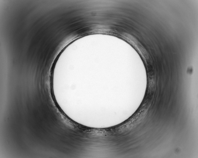 X0000103911050200810101303