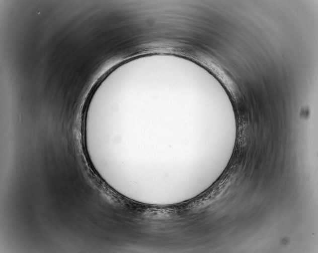 X0000103911051200810101303