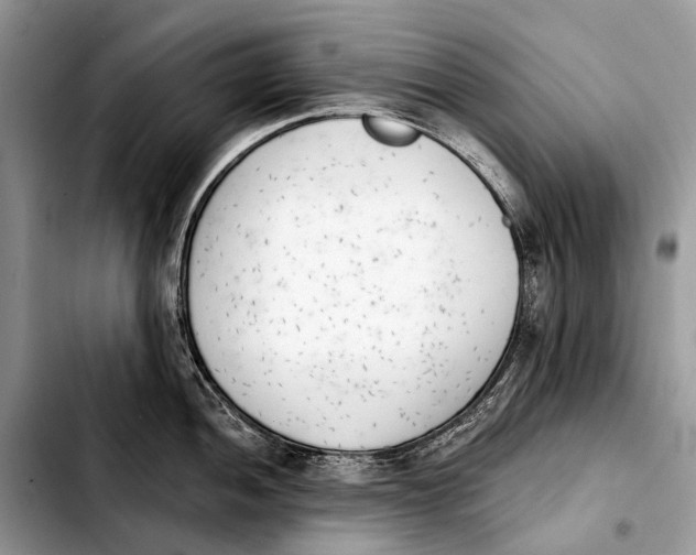 X0000103911052200810101303