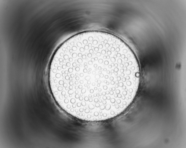 X0000103911053200810101303