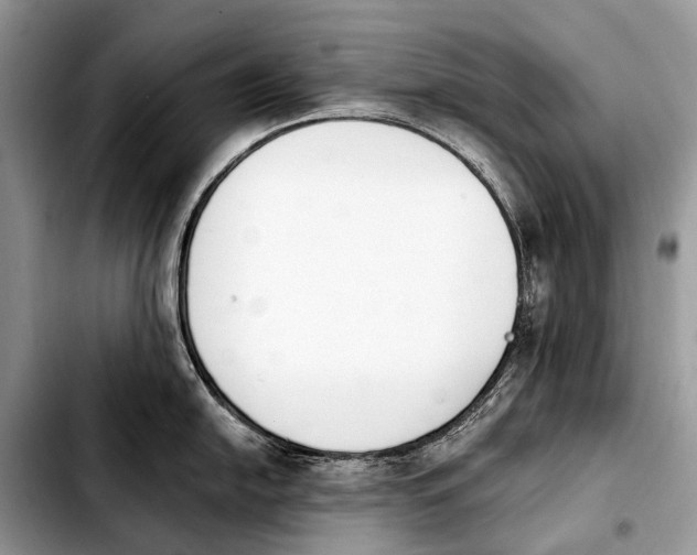 X0000103911054200810101303
